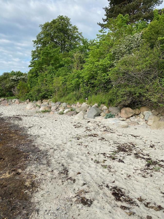 Feriehus Med Havudsigt Spodsbjerg Ngoại thất bức ảnh